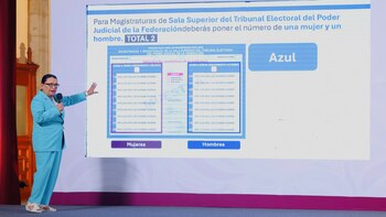 Rosa Icela Rodríguez, elección del