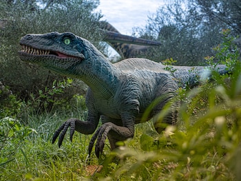 Dinosaurland, en Mallorca (Cedida).