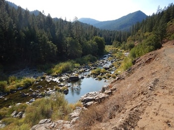 Cauce de un río con rocas rodeado de pinos y colinas bajo un cielo despejado