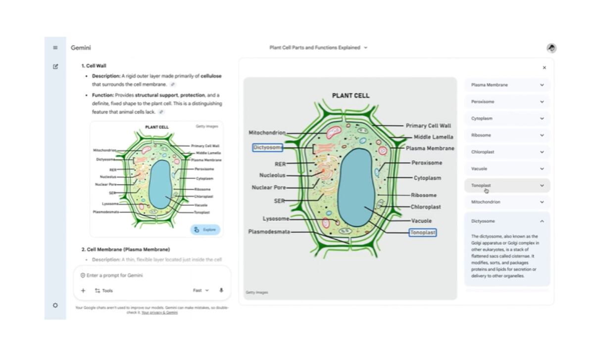 La aplicación Gemini incorpora imágenes interactivas para explorar visualmente temas académicos complejos. (Google )