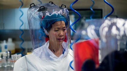 Cinco razones por las que la pandemia probablemente se inició en un laboratorio