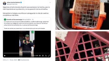 Las autoridades confirmar que tienen