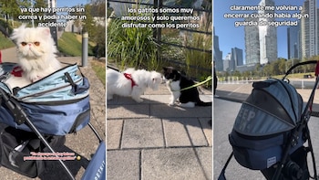 Denuncian actos de discriminación contra