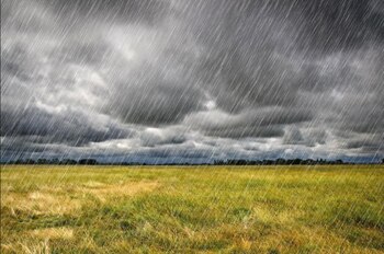 Llevamos algunas semanas con precipitaciones