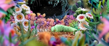 Flavia Da Rin, "La epopeya