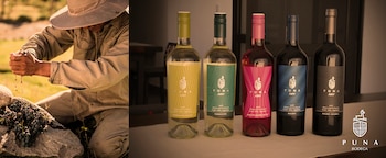 Puna Gran Reserva Malbec - Puna