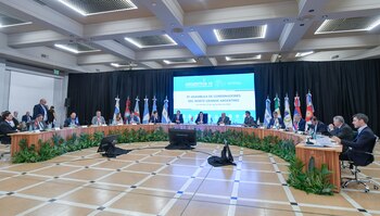 Manzur con el Norte Grande