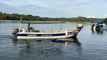 Panamá busca mejorar la conectividad ecológica, el monitoreo y la gestión de sus zonas protegidas
