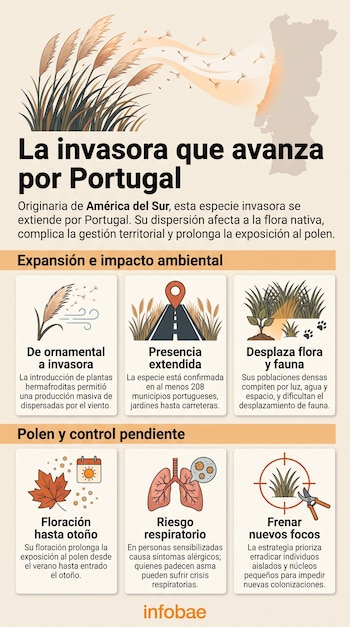 Infografía sobre fondo beige con ilustraciones de una planta con plumas, un mapa de Portugal, unos pulmones y una tijera de podar.