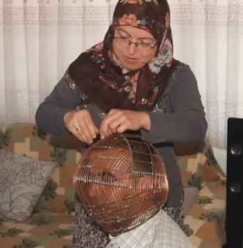 La jaula de cobre impide