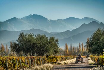 Con viñedos en Las Compuertas