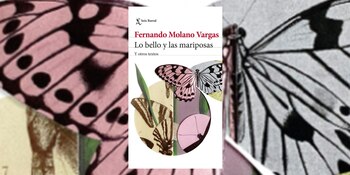 Portada del libro "Lo bello