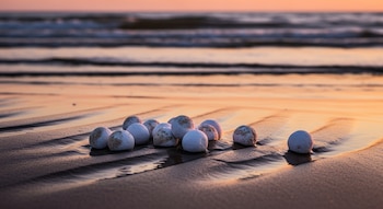 Un grupo de bolas de naftalina blancas y sucias descansa sobre arena mojada con ondulaciones, con el mar y el cielo en tonos cálidos de atardecer al fondo.