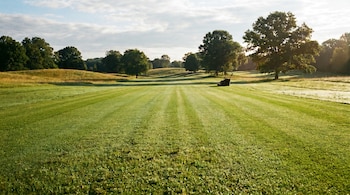 El olor a césped recién cortado es un grito de auxilio para las plantas (Imagen con Inteligencia Artificial)