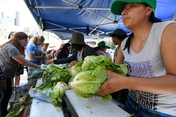 El programa "Volver al Trabajo" reemplazo al "Potenciar Trabajo" que se usó durante el gobierno de Alberto Fernández. (AP Foto/Gustavo Garello)