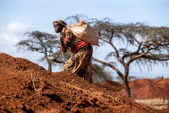 Una mujer africana carga con parte de la cosecha. (Ayuda en Acción)