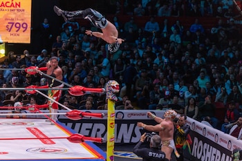 (CMLL / DIego Cedrix)