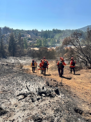 Bomberos uruguayos en Chile