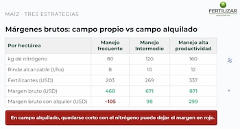 Maíz: márgenes brutos en campo propio y alquilado