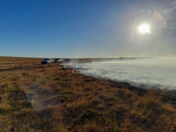 Hay al menos 335 mil