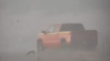 Una denuncia por maltrato animal