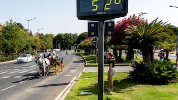 Entre asfalto y termómetros a más de 40 grados: los carruajes turísticos de caballos sobreviven en las ciudades españolas pese al aumento de las temperaturas
