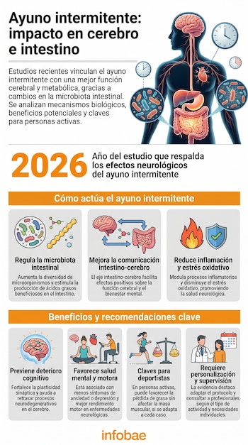 Infografía del cuerpo humano con cerebro, corazón, estómago e intestinos, rodeado de relojes y células microbianas, mostrando conexiones intestino-cerebro.