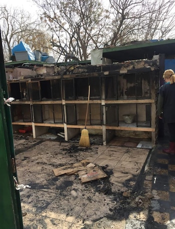 El resultado del incendio ocurrido