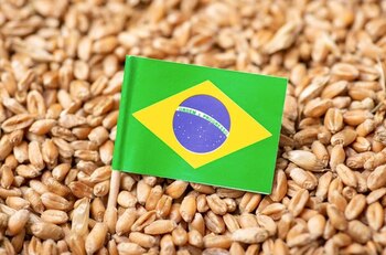 El socio del Mercosur intentaría