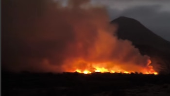 Incendio forestal en Cañete: emergencia ambiental por avance del fuego en el distrito de Coayllo