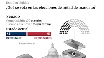Elecciones de mitad de mandato en Estados Unidos, qué se vota y estadísticas