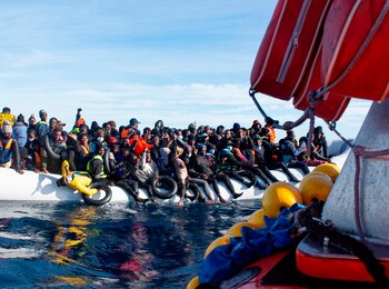 Vista de algunos de los