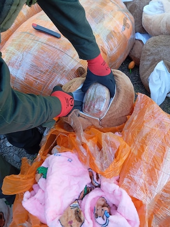Manos con guantes rojos y negros abren el cierre de un peluche marrón y extraen un paquete envuelto en plástico