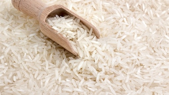 La importación de arroz en