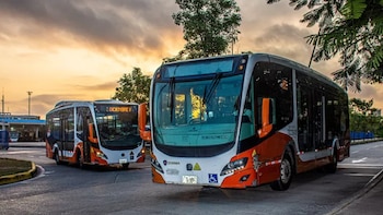 Cartagena reglamentó la tarifa diferencial en Transcaribe y subsidiará a más de 27.000 usuarios en 2026: así será el beneficio