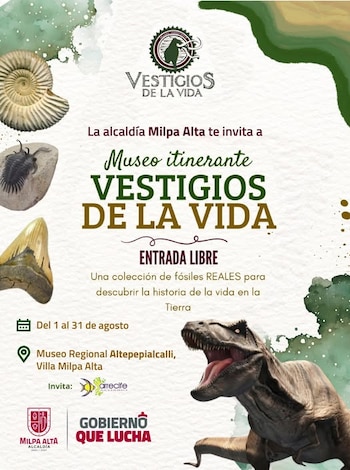 Dinosaurios, exposiciones