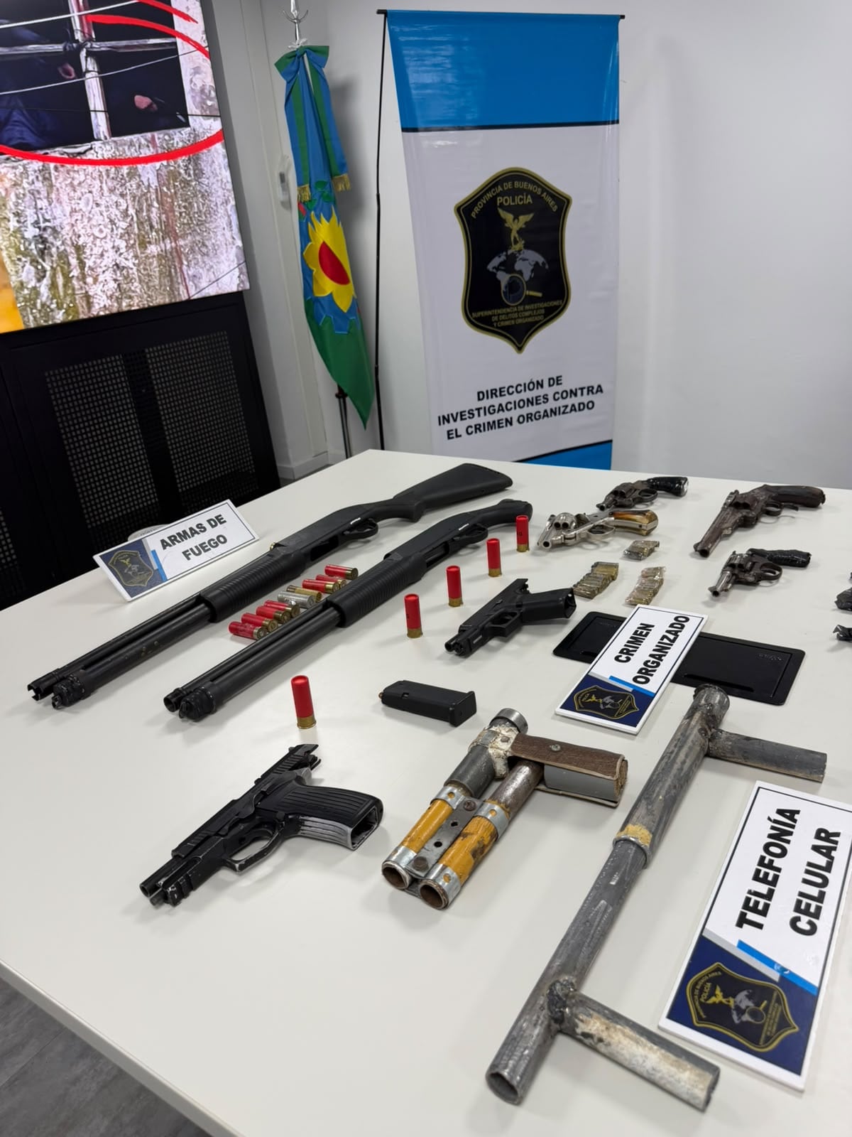Las armas secuestradas en los allanamientos