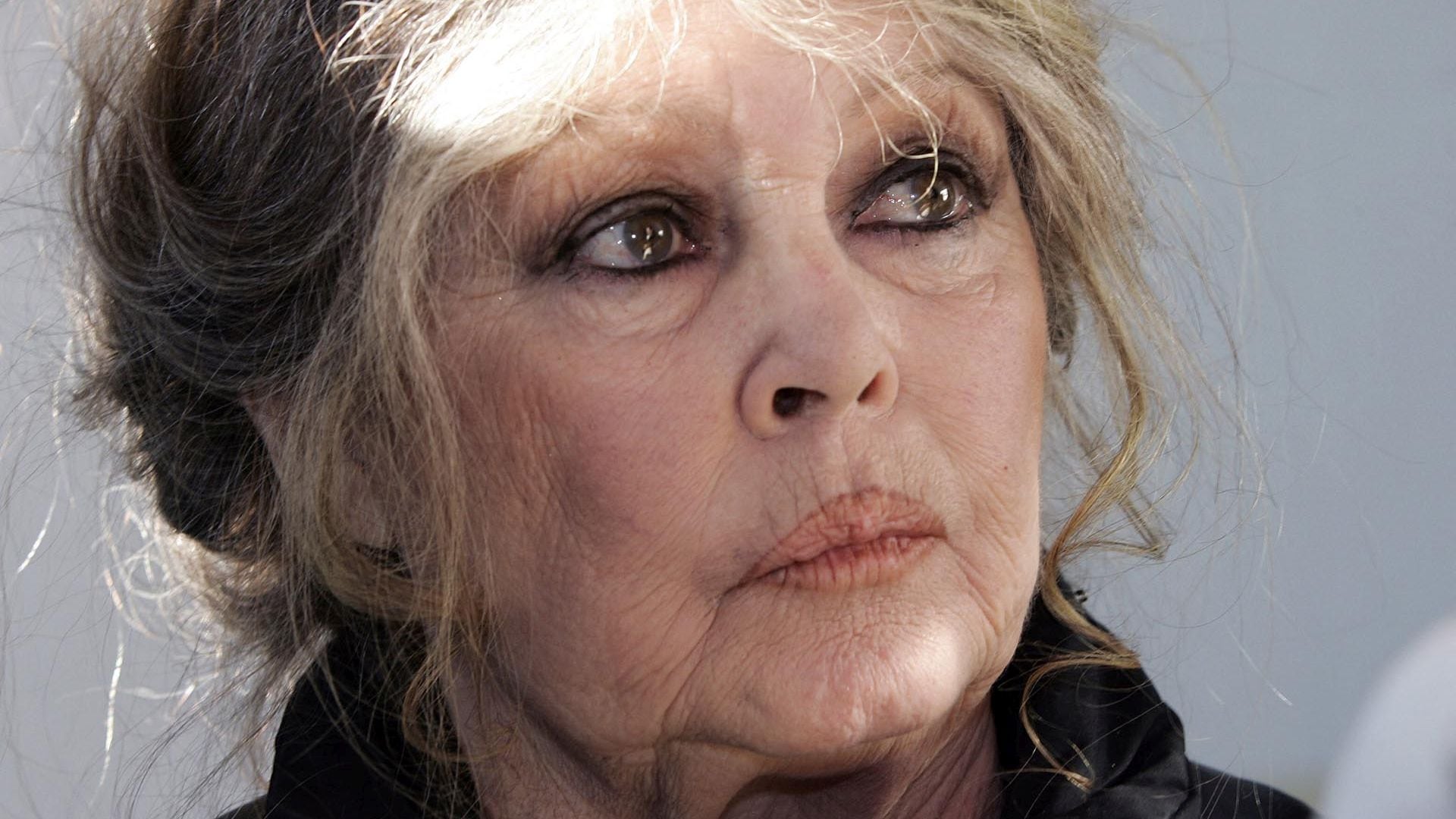 Brigitte Bardot. (Valery HACHE / AFP)