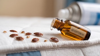 Los riesgos a la salud de usar aceites esenciales para ahuyentar a las chinches de cama