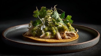 Platillo mexicano con pollo en salsa verde, tortilla dorada, guacamole y hierbas frescas. - (Imagen Ilustrativa Infobae)