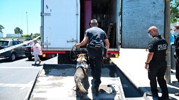 Los perros de la Policía