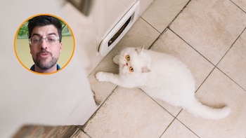 Juanjo, veterinario: “Estos tres síntomas