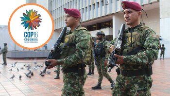 La Procuraduría acompañará la seguridad