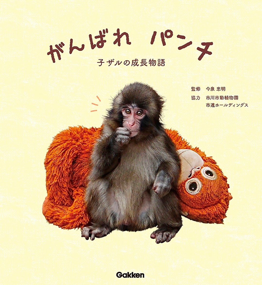La editorial Gakken seleccionó el material entre un archivo de más de diez mil imágenes del animal (Editorial Gakken)