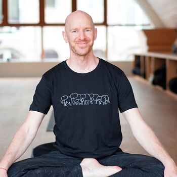 Stern es maestro de yoga,