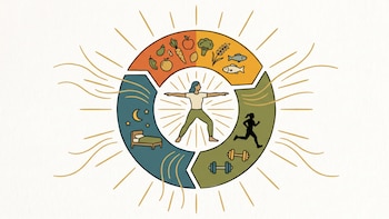 La guía de Harvard recomienda cuatro hábitos para recuperar la energía diaria