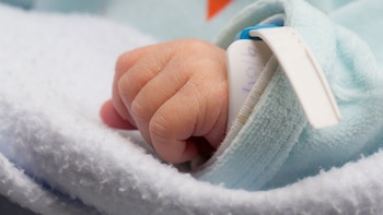 Productos químicos plásticos vinculados a casi 2 millones de nacimientos prematuros cada año