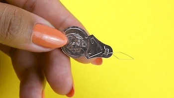 Para esto sirve la moneda