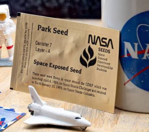 Las semillas que viajaron fuera de la atmósfera tardaron ocho días en germinar, las de control necesitaron un promedio de 8,3 días
(NASA)