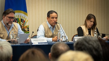 Elecciones 2026: Misión de observación de la OEA expresa “preocupación por amenazas y hostigamiento” contra autoridades